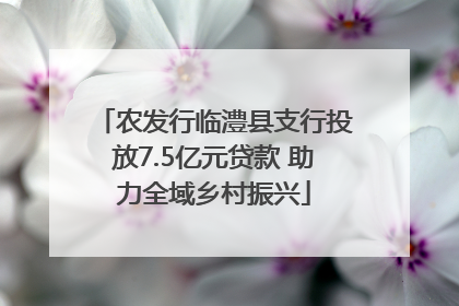 农发行临澧县支行投放7.5亿元贷款 助力全域乡村振兴